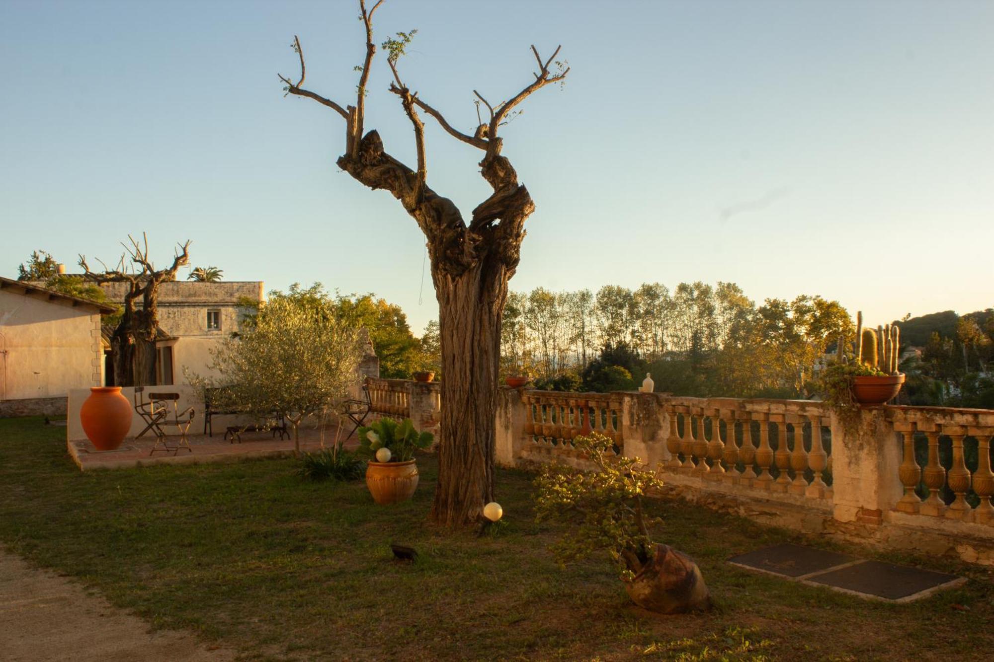 Can Rovira - Stunning Neoclassical Mansion, Just 20 Min Drive From Barcelona City Center, Ideal For Groups And Families Alella Eksteriør bilde